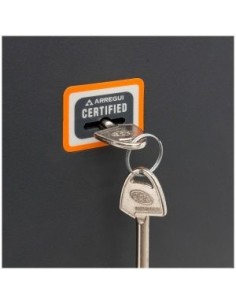 CAJA FUERTE SOBREPONER PLUS... 2